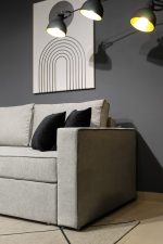 BL-55 - Зображення 5